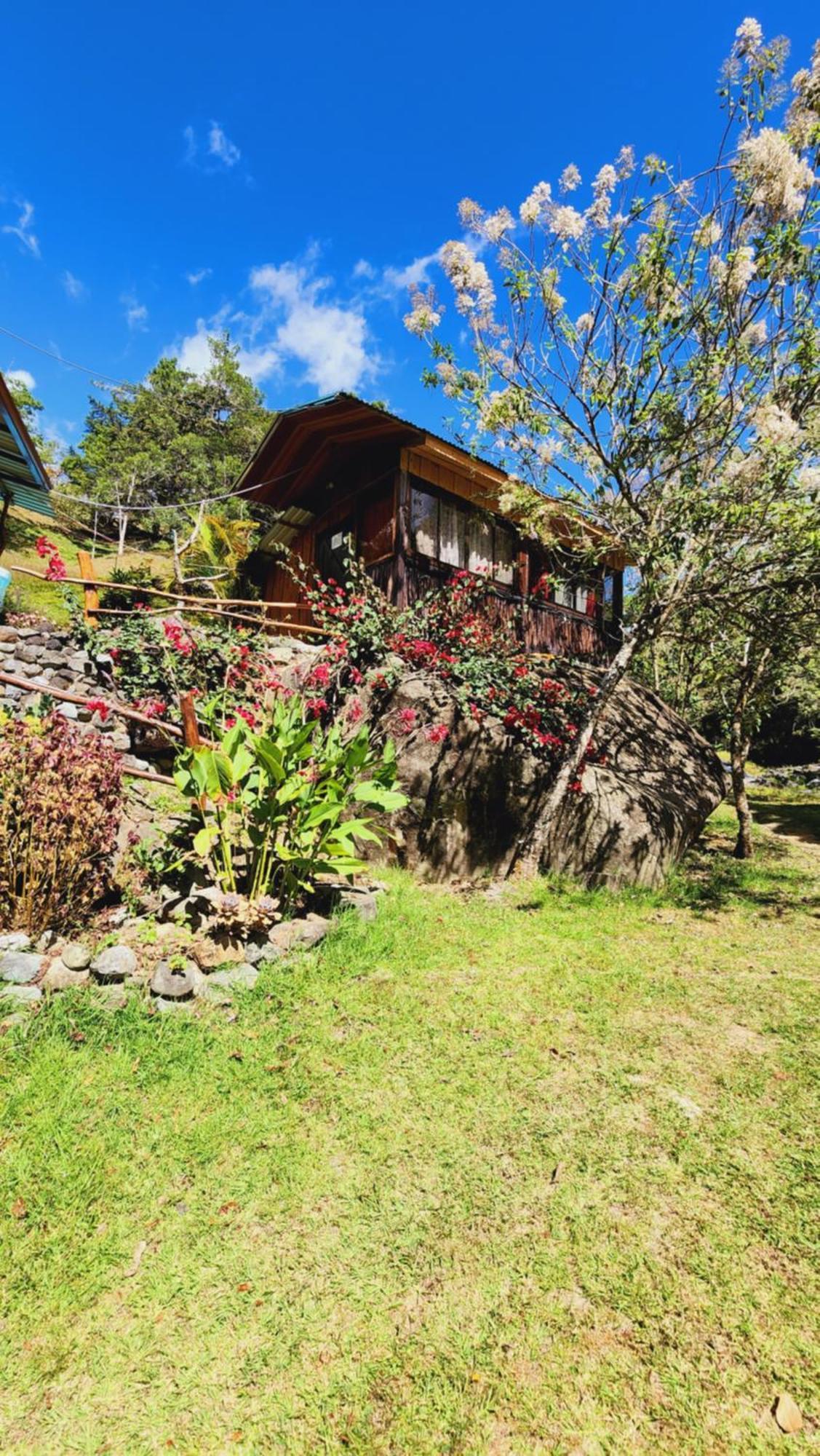 Hospedajes Richie Eco Camp Providencia Ngoại thất bức ảnh