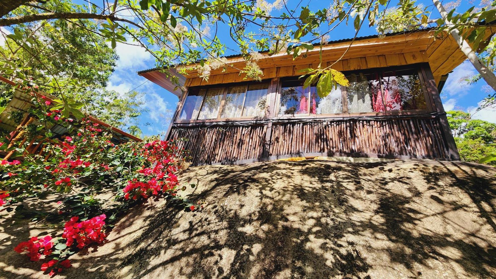 Hospedajes Richie Eco Camp Providencia Ngoại thất bức ảnh