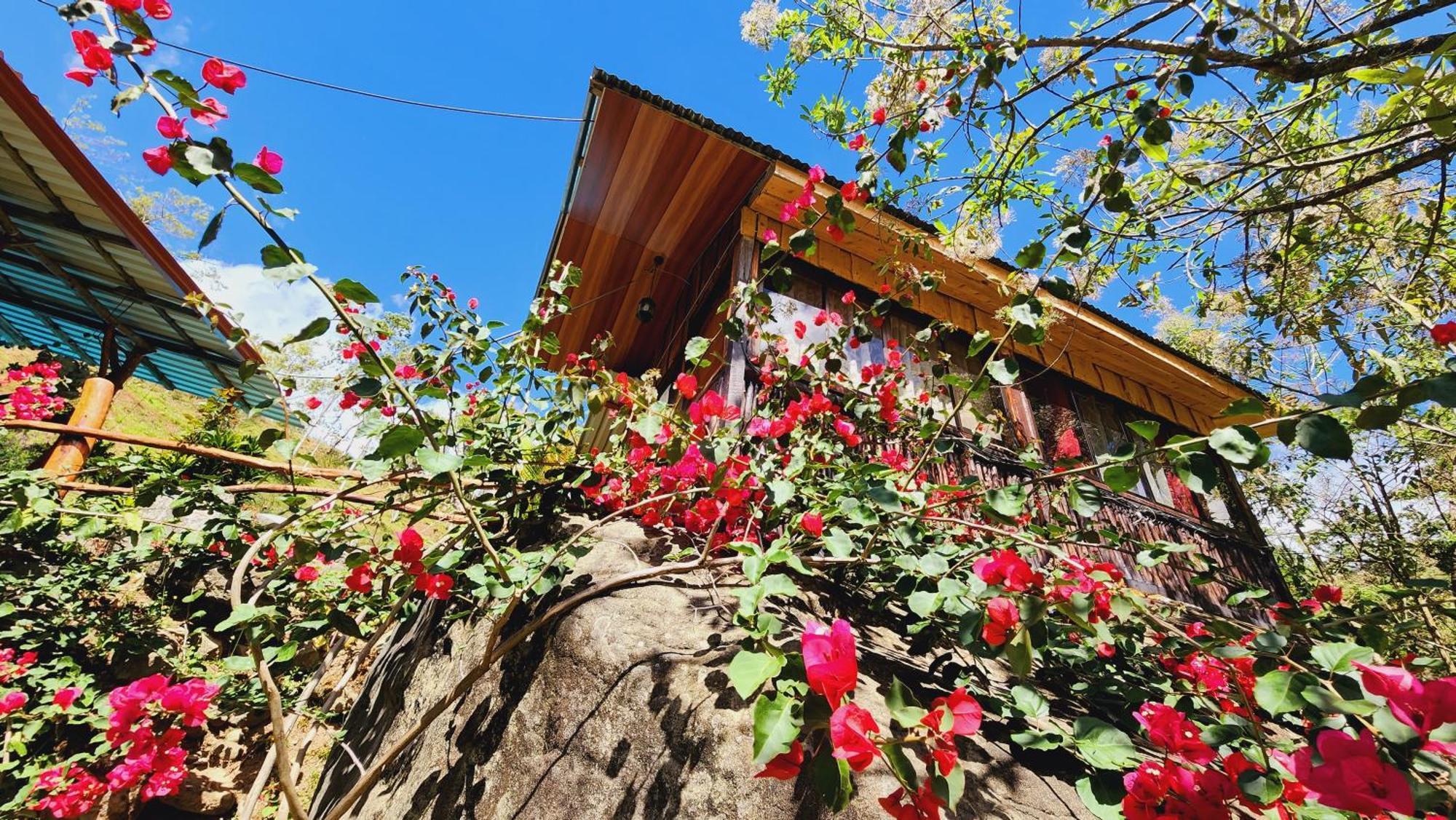 Hospedajes Richie Eco Camp Providencia Ngoại thất bức ảnh