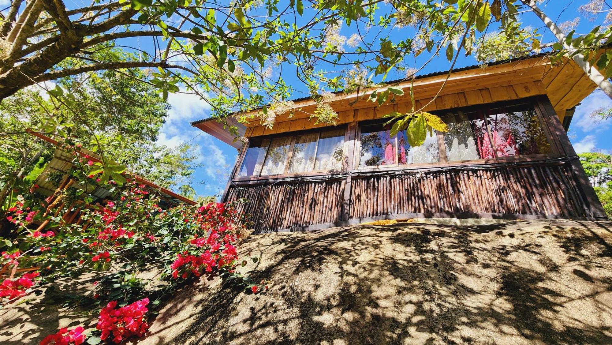 Hospedajes Richie Eco Camp Providencia Ngoại thất bức ảnh